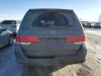 2010 Honda Odyssey EXL