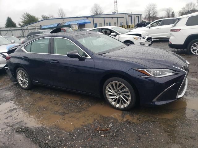 2021 Lexus ES 300H Luxury