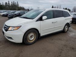 2014 Honda Odyssey EXL en venta en Bowmanville, ON