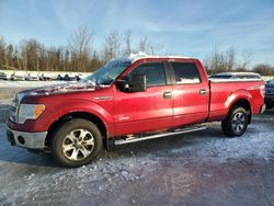 Salvage trucks for sale at Leroy, NY auction: 2014 Ford F150 Supercrew