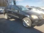 2007 Mercedes-Benz ML 350