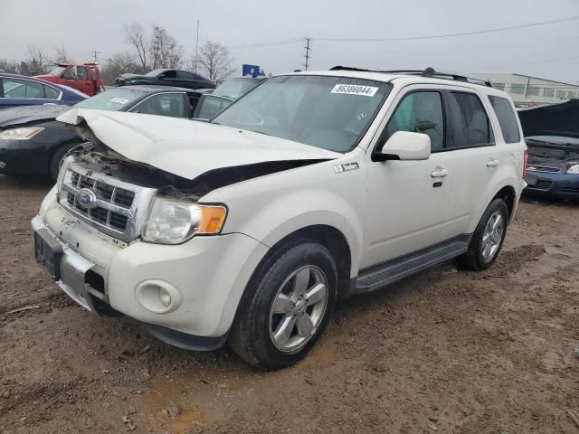 2011 Ford Escape Limited