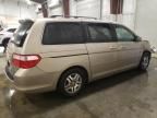 2005 Honda Odyssey EXL