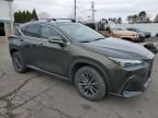 2023 Lexus NX 350