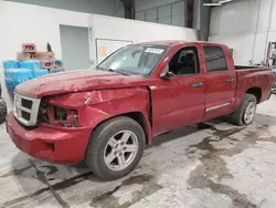 Salvage trucks for sale at Greenwood, NE auction: 2010 Dodge Dakota SXT