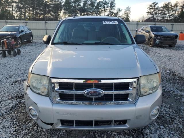 2008 Ford Escape XLT