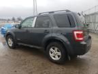 2008 Ford Escape HEV