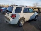 2009 Ford Escape Limited