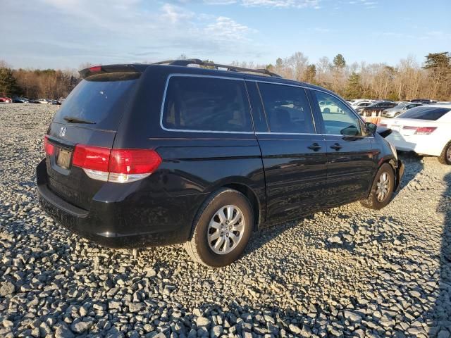 2008 Honda Odyssey EXL