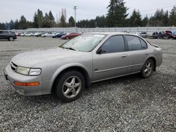 Salvage cars for sale from Copart Graham, WA: 1999 Nissan Maxima GLE