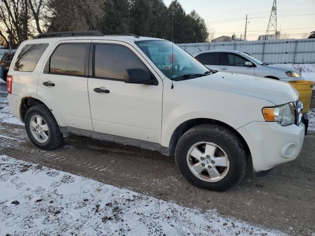 2011 Ford Escape XLT