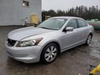 2008 Honda Accord EX