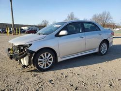 Toyota salvage cars for sale: 2009 Toyota Corolla Base