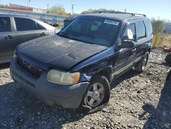 Ford salvage cars for sale: 2004 Ford Escape XLS