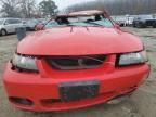 2004 Ford Mustang Cobra SVT