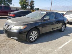 Toyota Camry Hybrid salvage cars for sale: 2008 Toyota Camry Hybrid