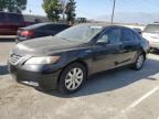 2008 Toyota Camry Hybrid