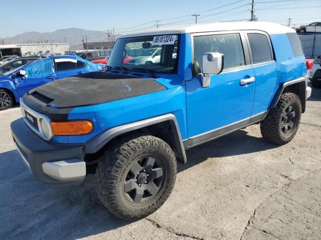 2007 Toyota FJ Cruiser