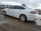 2013 Ford Fusion SE Hybrid