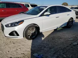 Salvage cars for sale at Haslet, TX auction: 2019 Hyundai Sonata Limited