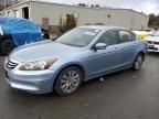 2011 Honda Accord EXL