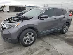 Honda cr-v exl salvage cars for sale: 2019 Honda CR-V EXL