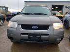 2004 Ford Escape Limited