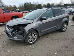 Salvage cars for sale at Madisonville, TN auction: 2013 Ford Escape SEL