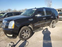 Cadillac Vehiculos salvage en venta: 2007 Cadillac Escalade Luxury