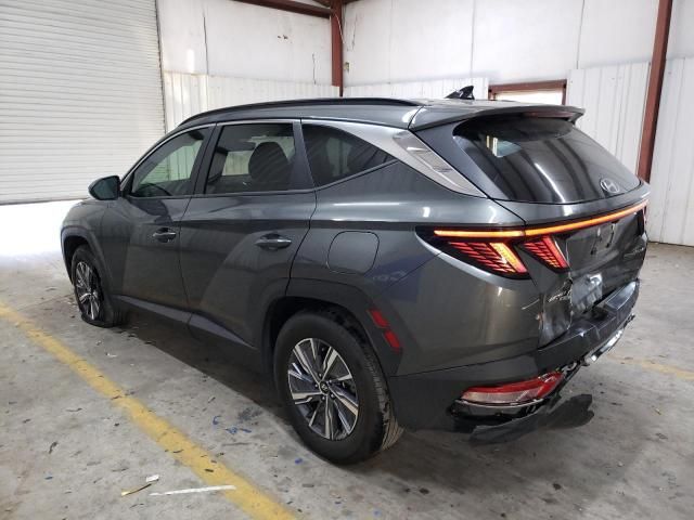 2023 Hyundai Tucson Blue