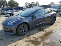 Salvage cars for sale from Copart Hayward, CA: 2023 Tesla Model 3