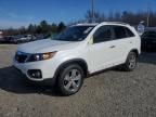 2013 KIA Sorento EX