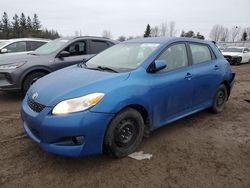 Toyota Vehiculos salvage en venta: 2009 Toyota Corolla Matrix S