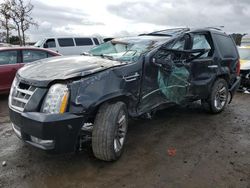 Cadillac salvage cars for sale: 2013 Cadillac Escalade Platinum