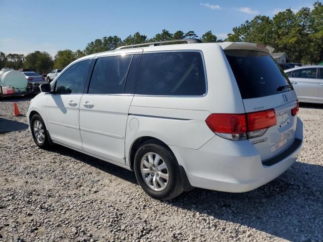 2010 Honda Odyssey EXL