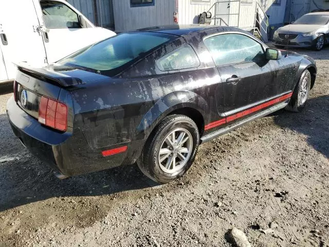 2005 Ford Mustang