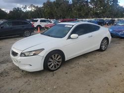 Honda salvage cars for sale: 2009 Honda Accord EXL