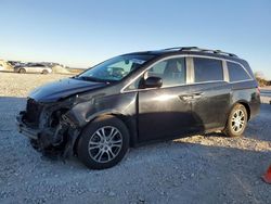 Salvage cars for sale at Taylor, TX auction: 2013 Honda Odyssey EXL