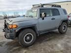 2013 Toyota FJ Cruiser