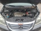 2010 Honda Odyssey EXL