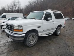 Ford Bronco salvage cars for sale: 1995 Ford Bronco U100