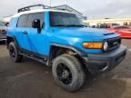 2007 Toyota FJ Cruiser