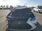 2024 Lexus ES 300H Base