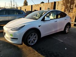 Salvage cars for sale at auction: 2023 Tesla Model Y