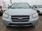 2007 Hyundai Santa FE SE