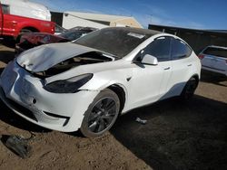 Salvage cars for sale at Brighton, CO auction: 2023 Tesla Model Y