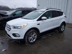 Salvage cars for sale at Windsor, NJ auction: 2018 Ford Escape SE