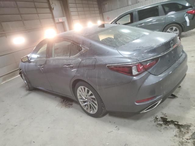 2019 Lexus ES 350