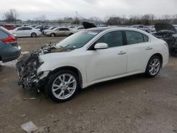 Salvage cars for sale at Louisville, KY auction: 2014 Nissan Maxima S