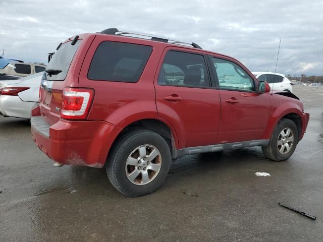 2010 Ford Escape Limited